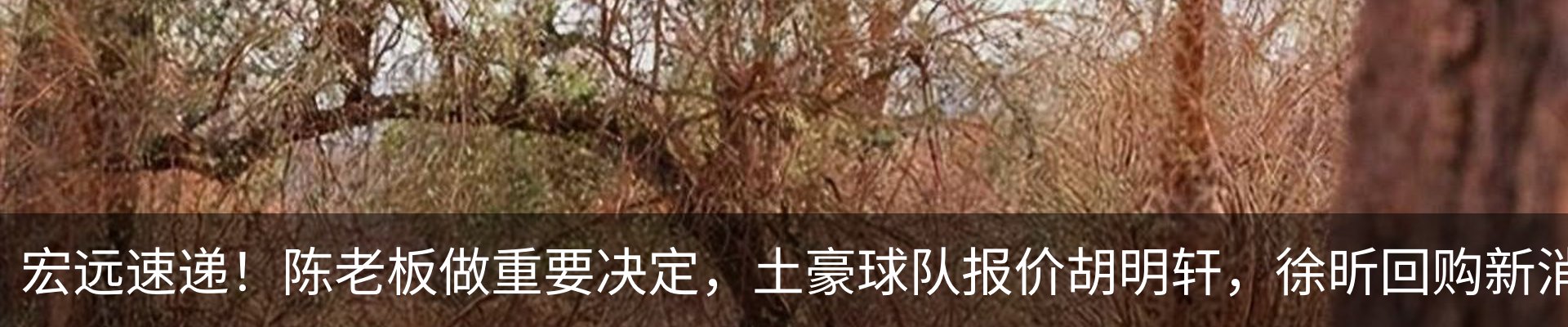 行业资讯