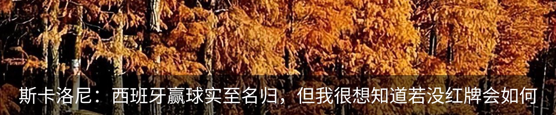 行业资讯